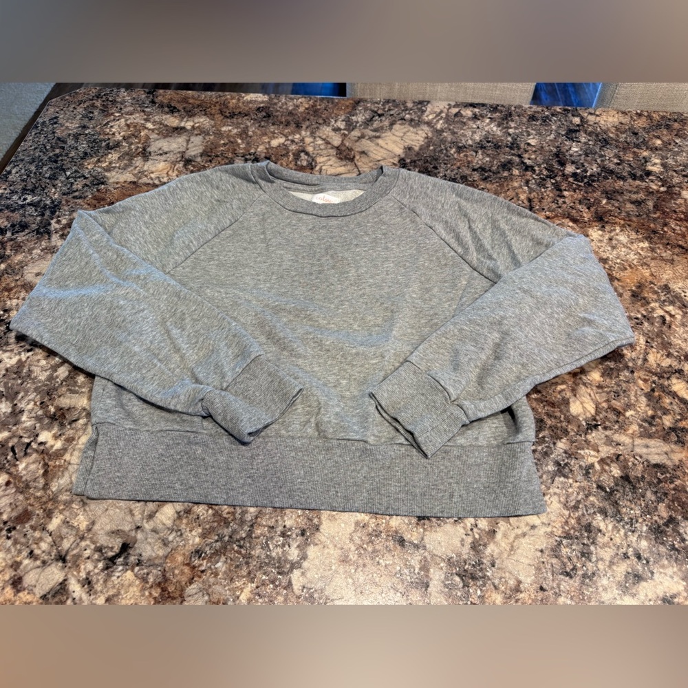Gray Cropped Crewneck Sweatshirt
